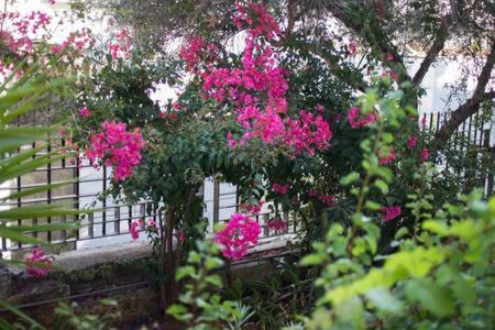 Glyfada Riviera Home Atény Exteriér fotografie
