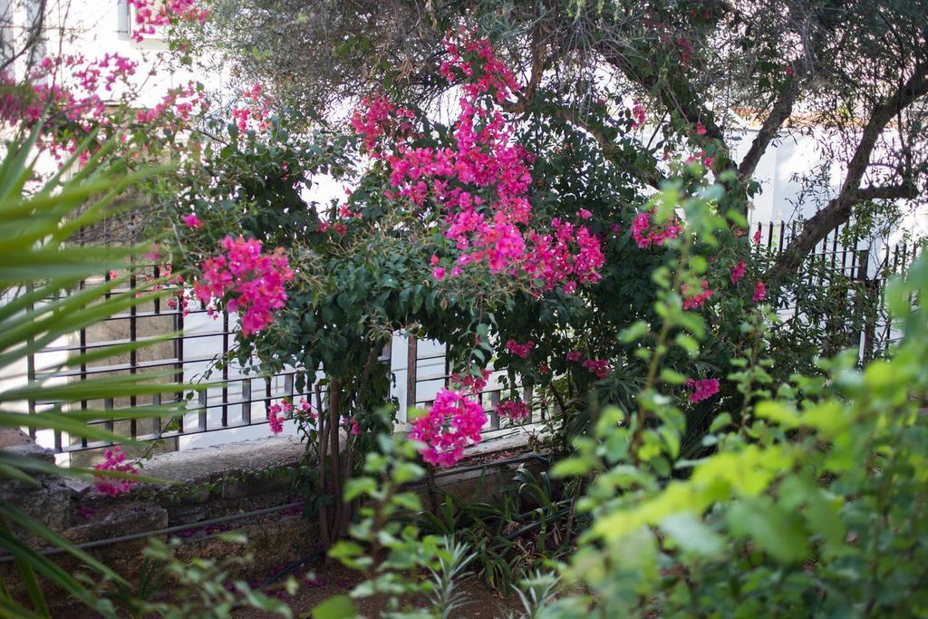 Glyfada Riviera Home Atény Exteriér fotografie